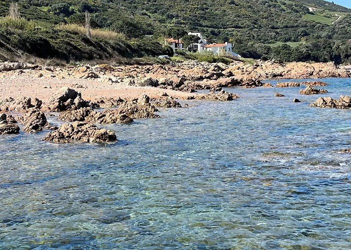 Appart hôtel Résidence Punta Paliagi